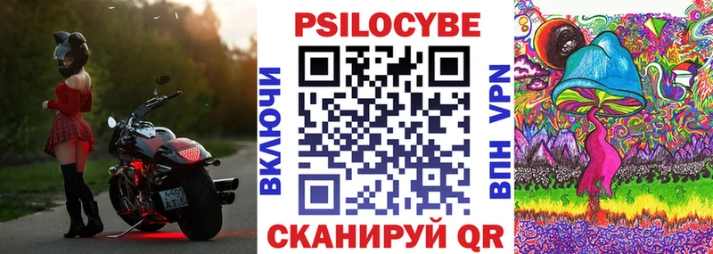 Псилоцибиновые грибы Cubensis  где купить наркотик  Вихоревка 
